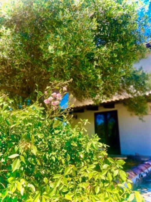 Camera Villa Sarda Aurora Elmas Exterior photo